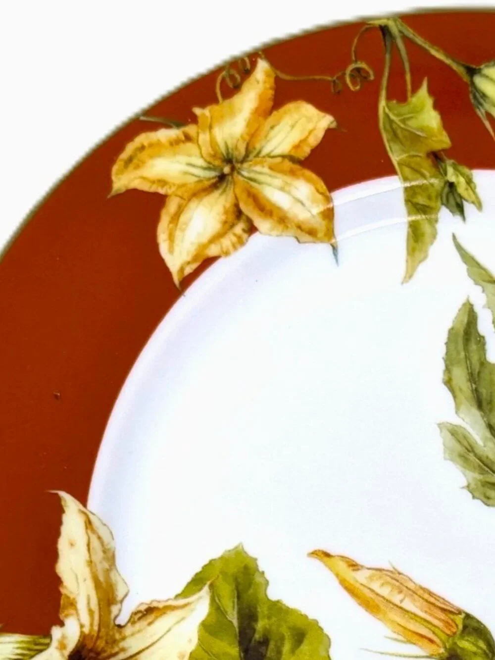 Williams Sonoma BOTANICAL PUMPKIN Salad Plates Set 5 Dark Red Fall 8 1/2
